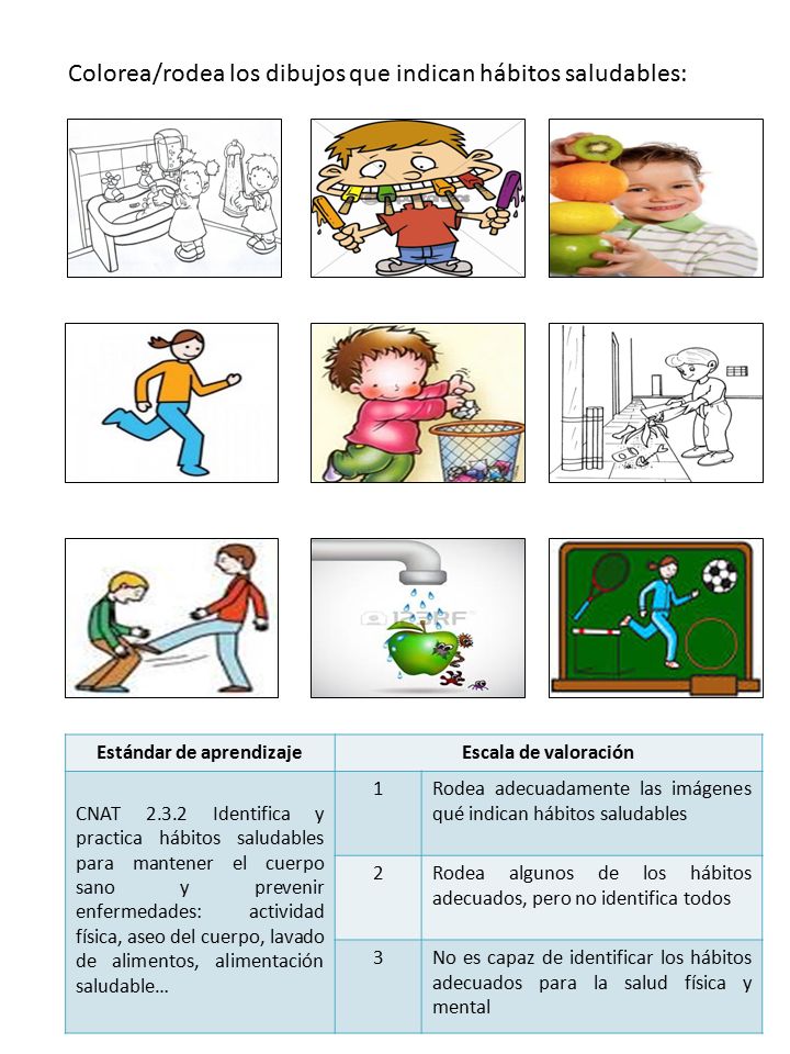 Habitos saludables para mantener el cuerpo sano